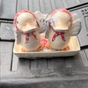 Duck Salt and Pepper Shaker Set - Red and White